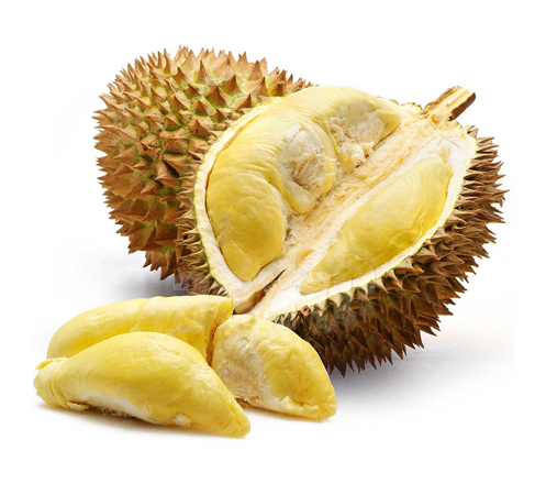 Download 510 Koleksi Gambar Durian Di Togel Terbaru Gratis HD